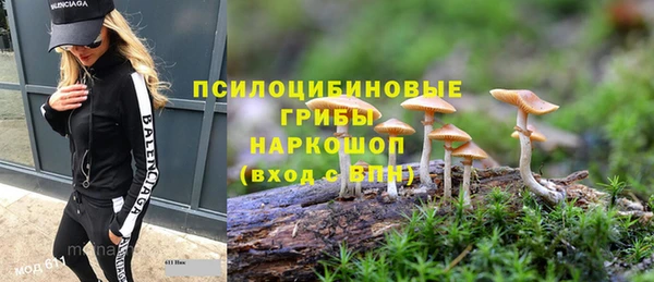 эйфоретик Баксан