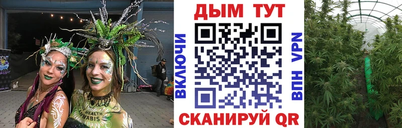 магазин продажи наркотиков  Барабинск  Шишки марихуана THC 21% 